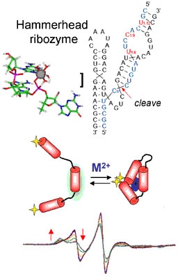 Derose research