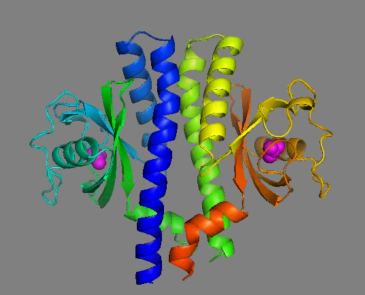 Guillemin crystal structure of tlpb
