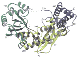 matthews research